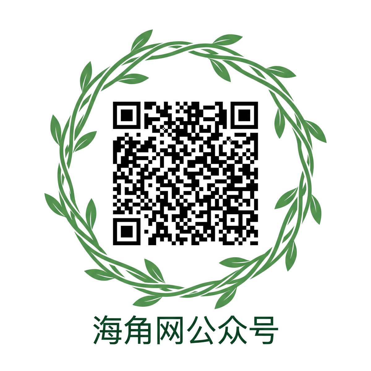 黑丝公众号二维码